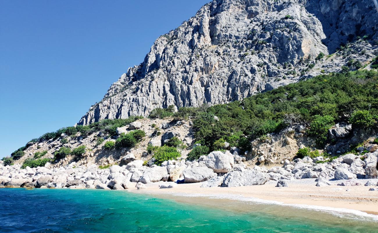 Foto af Lost World beach med grå fin sten overflade