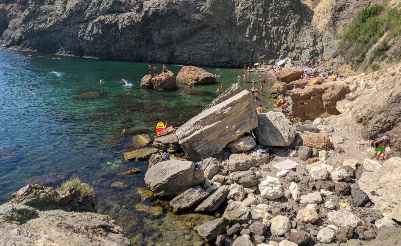 Foto af Tsarskoe Selo beach med grå sten overflade