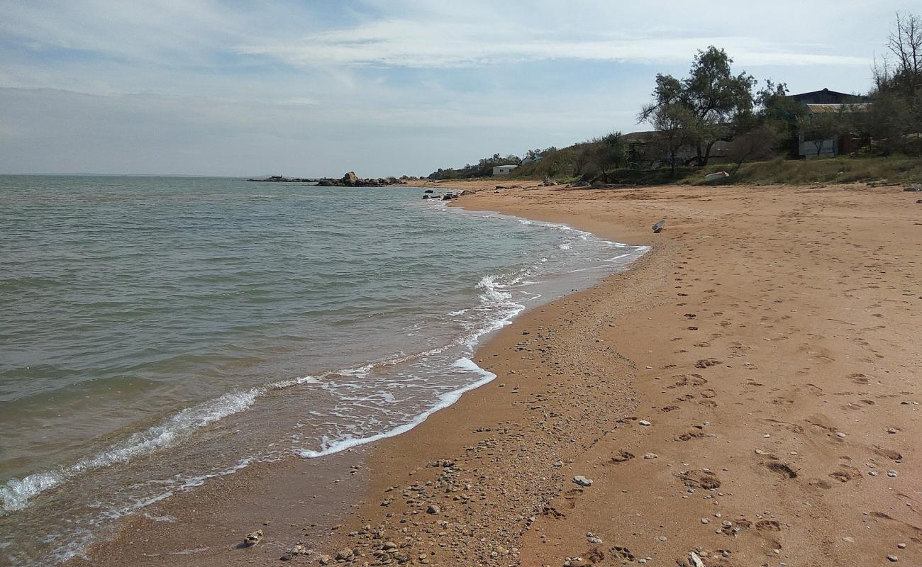 Foto af Plyazh Osoviny med brunt sand overflade