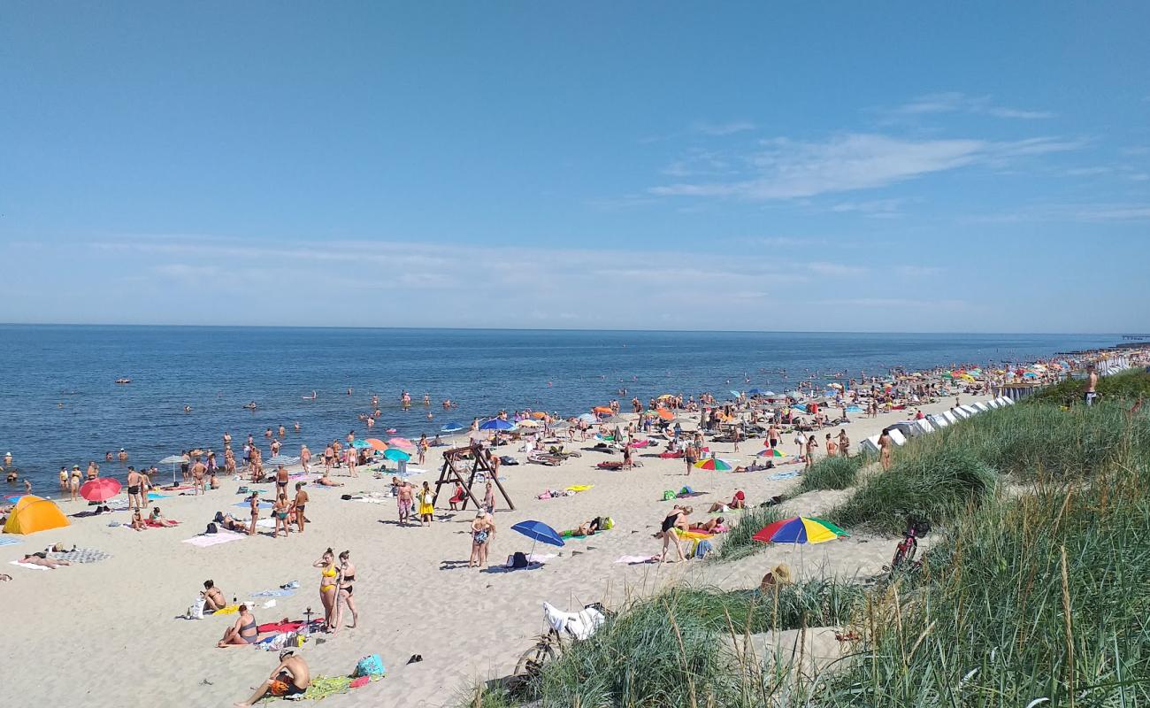 Foto af Zelenogradska Beach med lys sand overflade