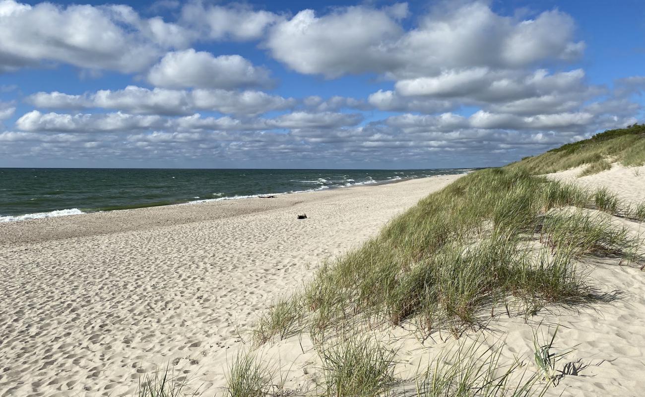 Foto af Rosa beach med lys sand overflade