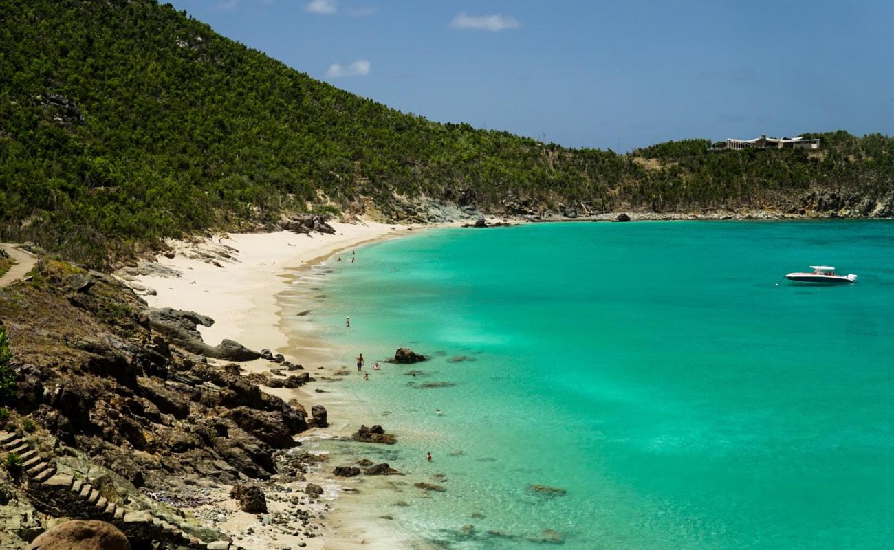 Foto af Colombier beach med lys fint sand overflade