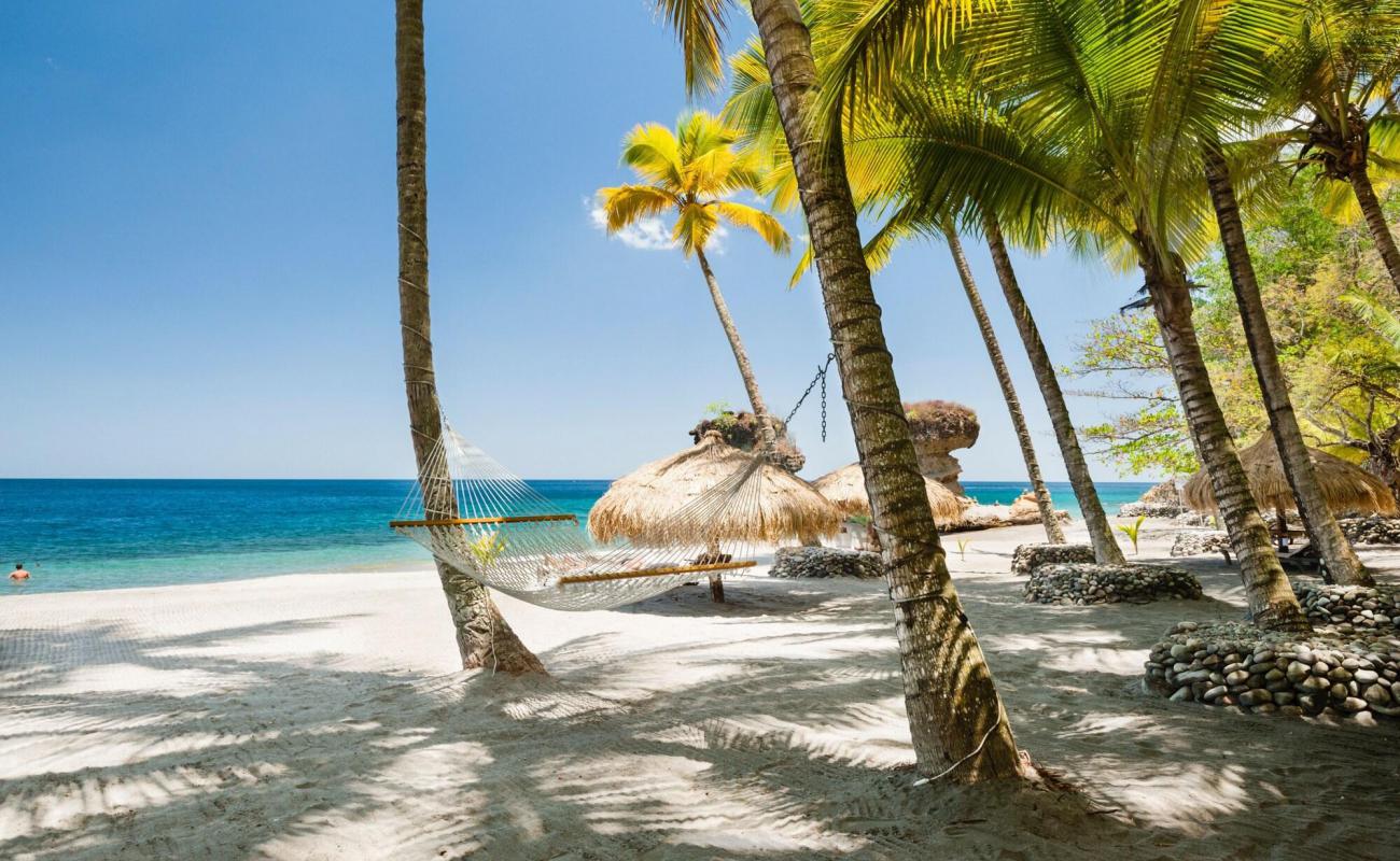 Foto af Anse Chastanet Strand med lys skaldesand overflade