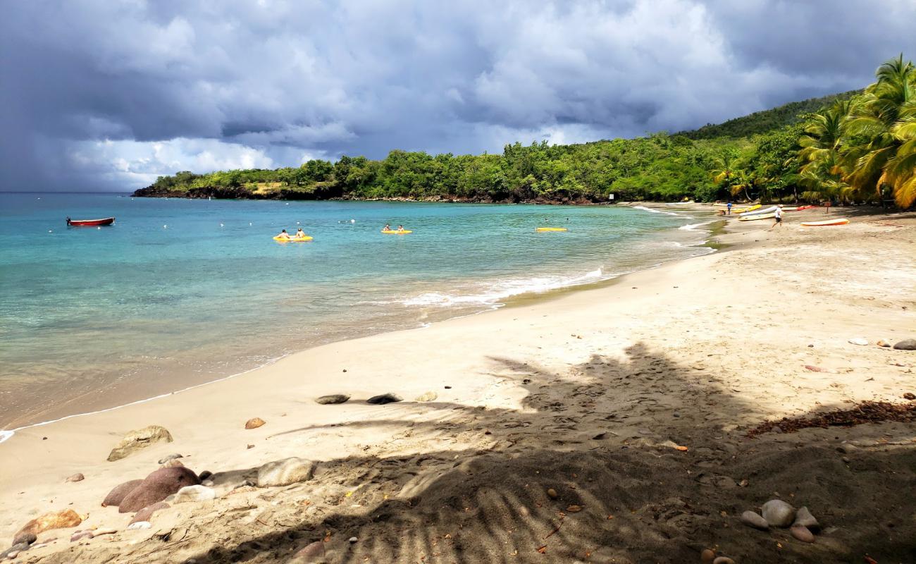 Foto af Anse Cochon beach med lys skaldesand overflade