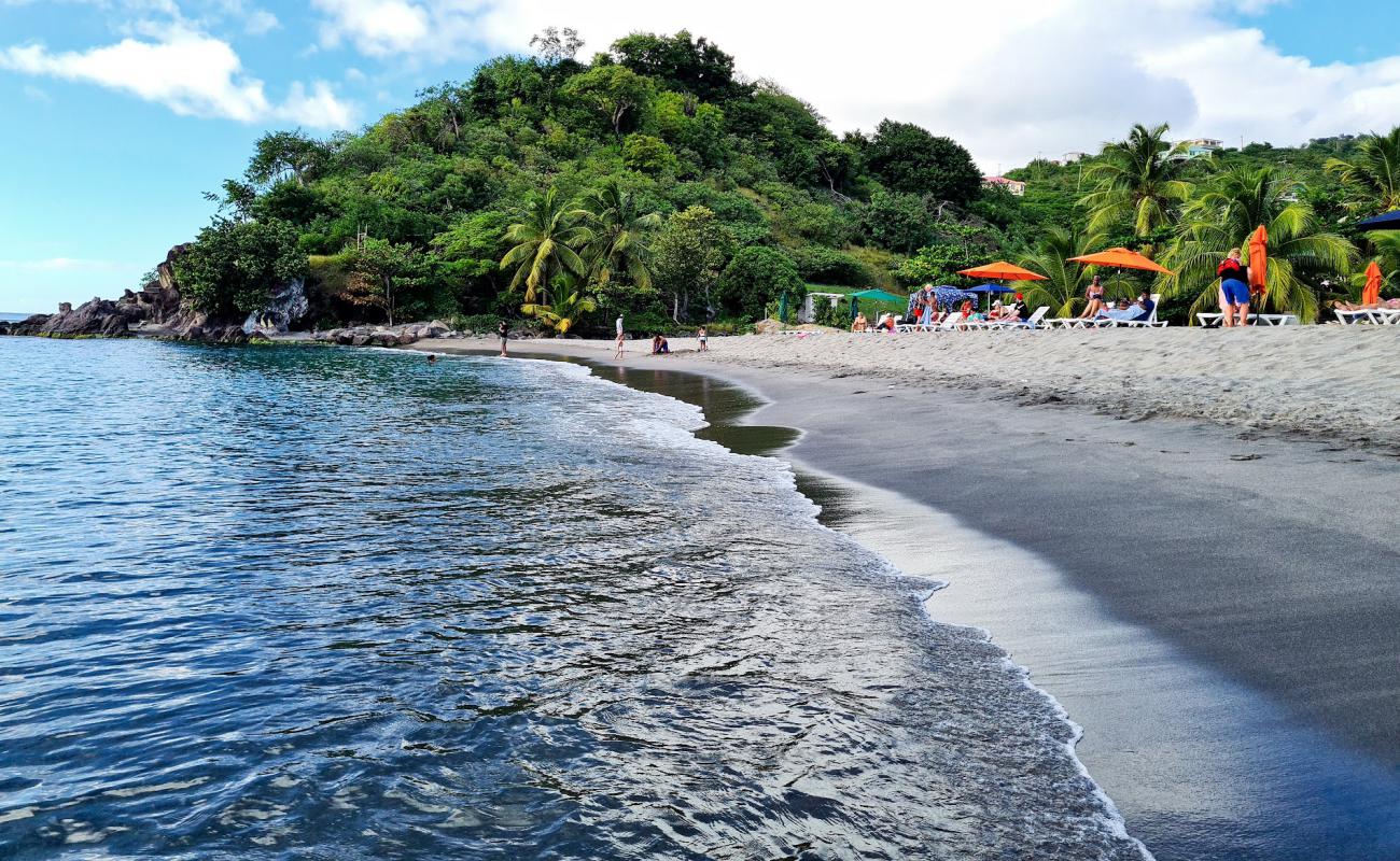 Foto af Roseau Bay beach med let fin sten overflade