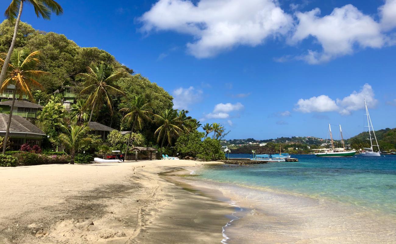 Foto af Young Island beach med lys fint sand overflade