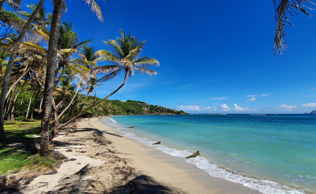 Foto af Sugar Reef beach med lys sand overflade