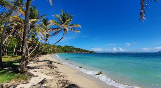 Sugar Reef beach