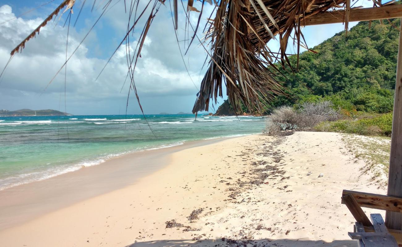 Foto af Belmont Bay beach med hvidt sand overflade