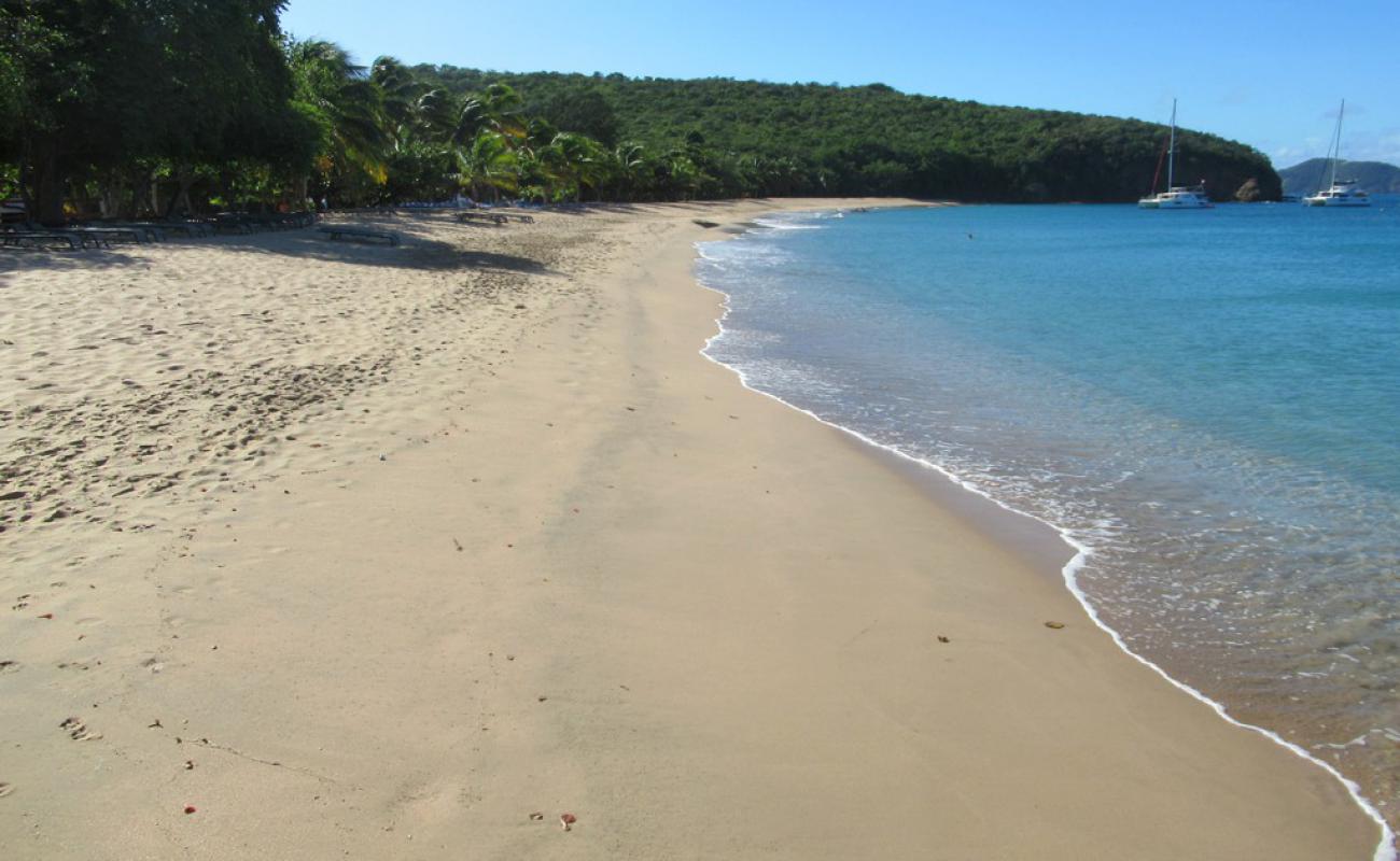 Foto af Saline beach med lys sand overflade