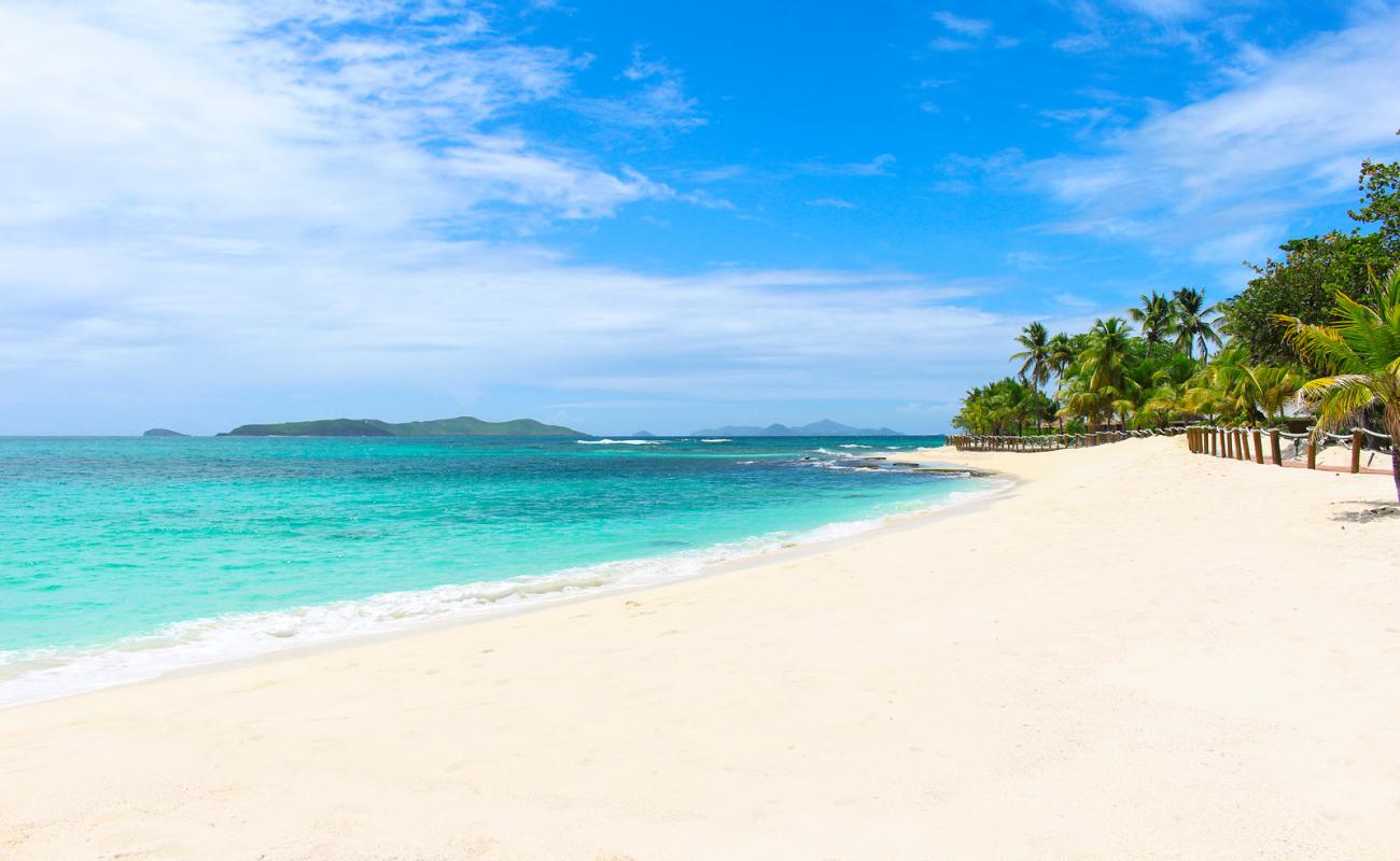 Foto af Palm Island Strand med hvidt sand overflade