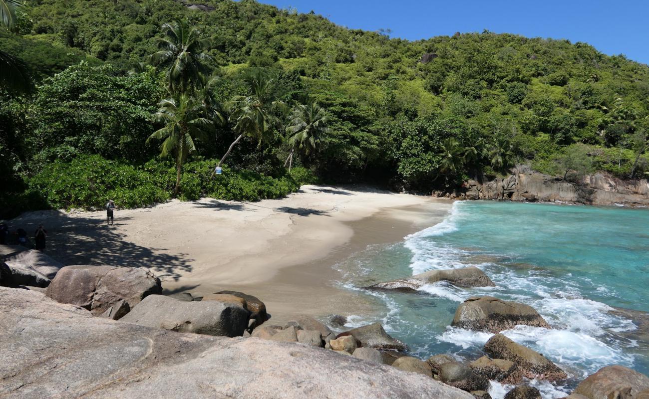 Foto af Anse Major Beach med lys fint sand overflade