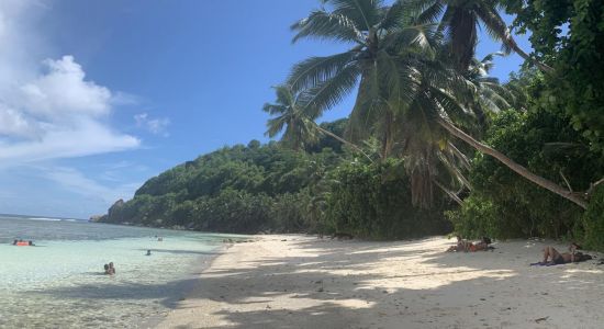 Anse Parnell Beach