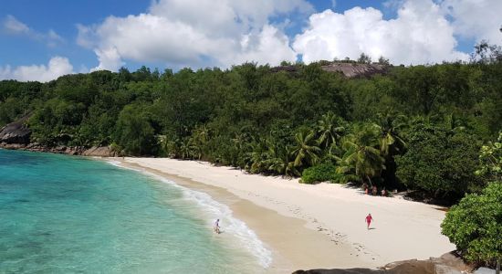 Anse Soleil Strand