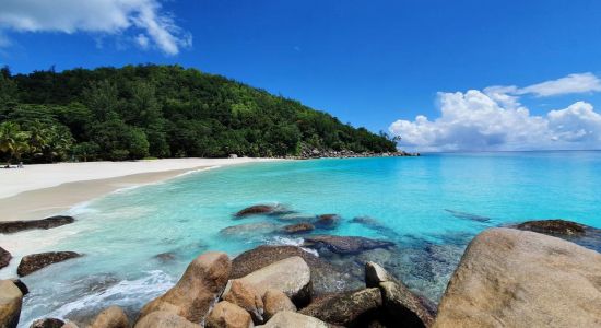 Anse Georgette Strand