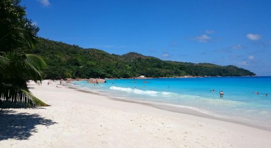 Anse Lazio Strand