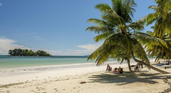 Cote D'Or Strand