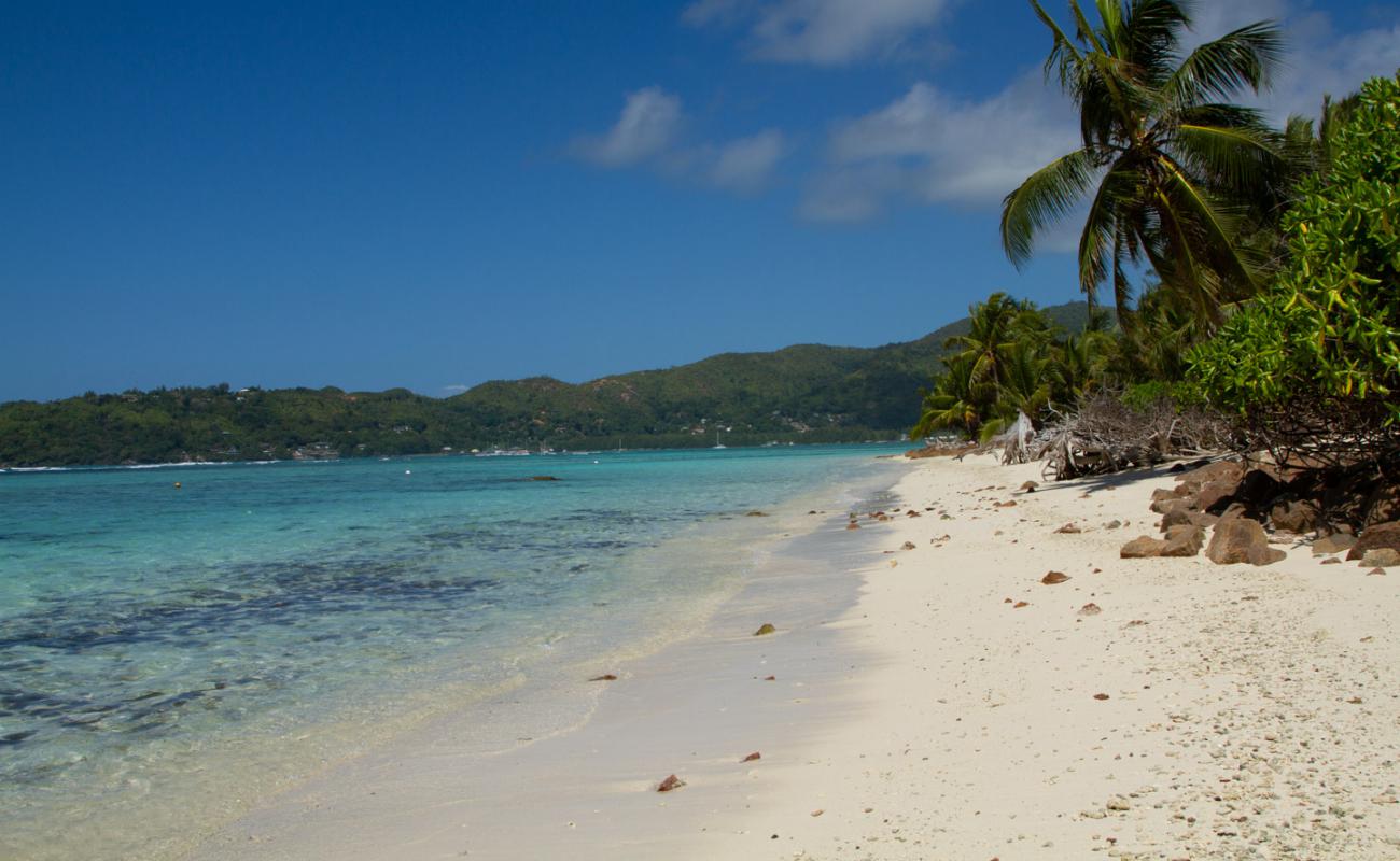 Foto af Anse La Farine Beach med lys sand overflade