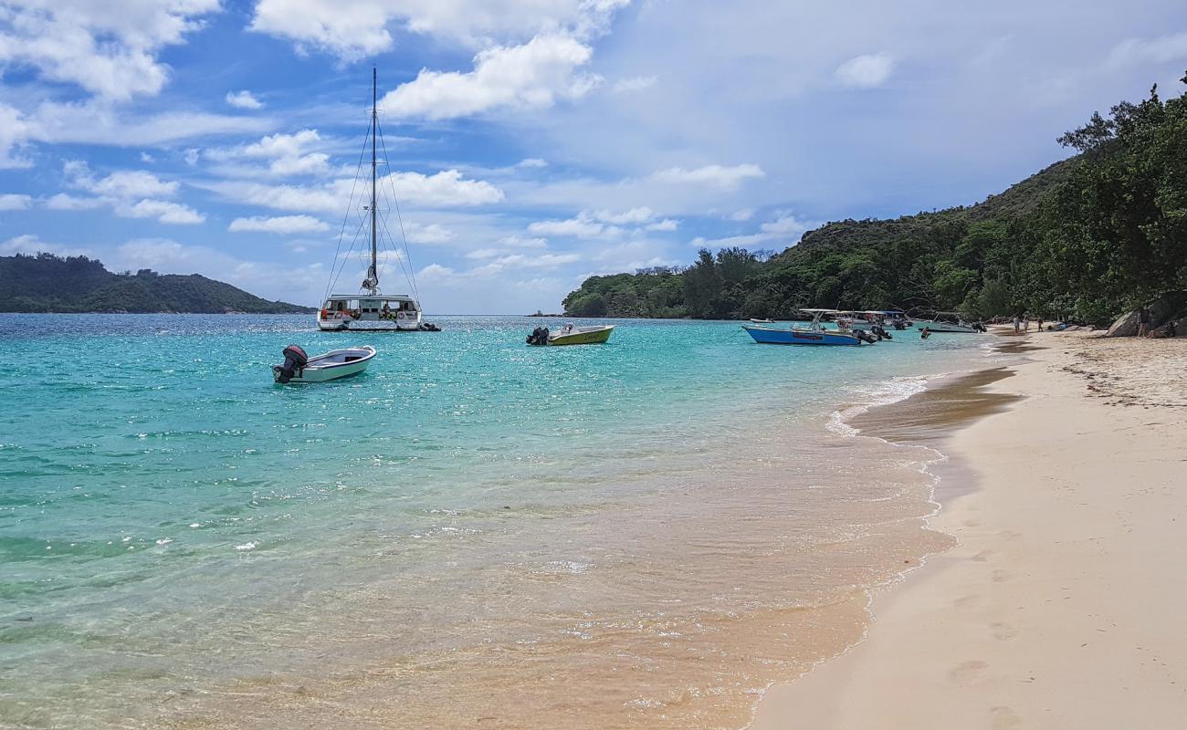 Foto af Anse St. Jose Strand med lys fint sand overflade