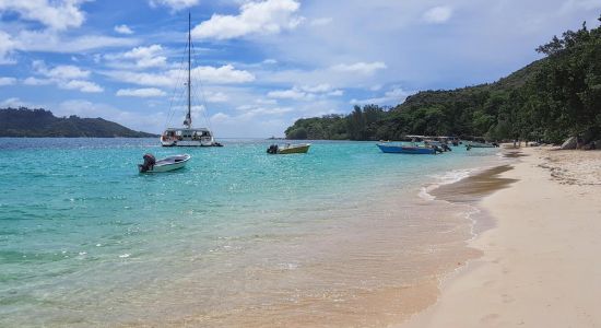 Anse St. Jose Strand