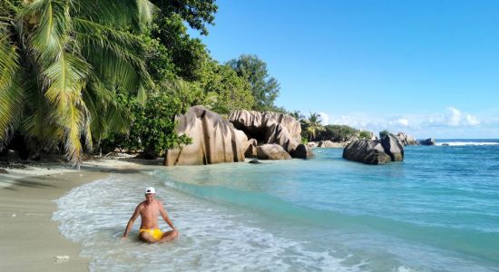 Anse Pierrot Beach