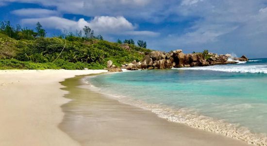 Anse Cocos Strand