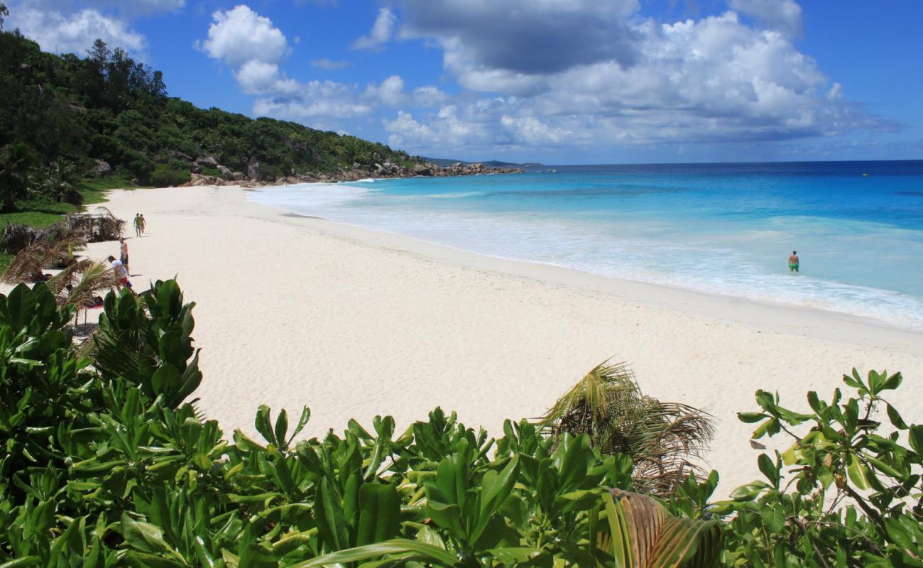 Foto af Petite Anse Strand med hvidt fint sand overflade