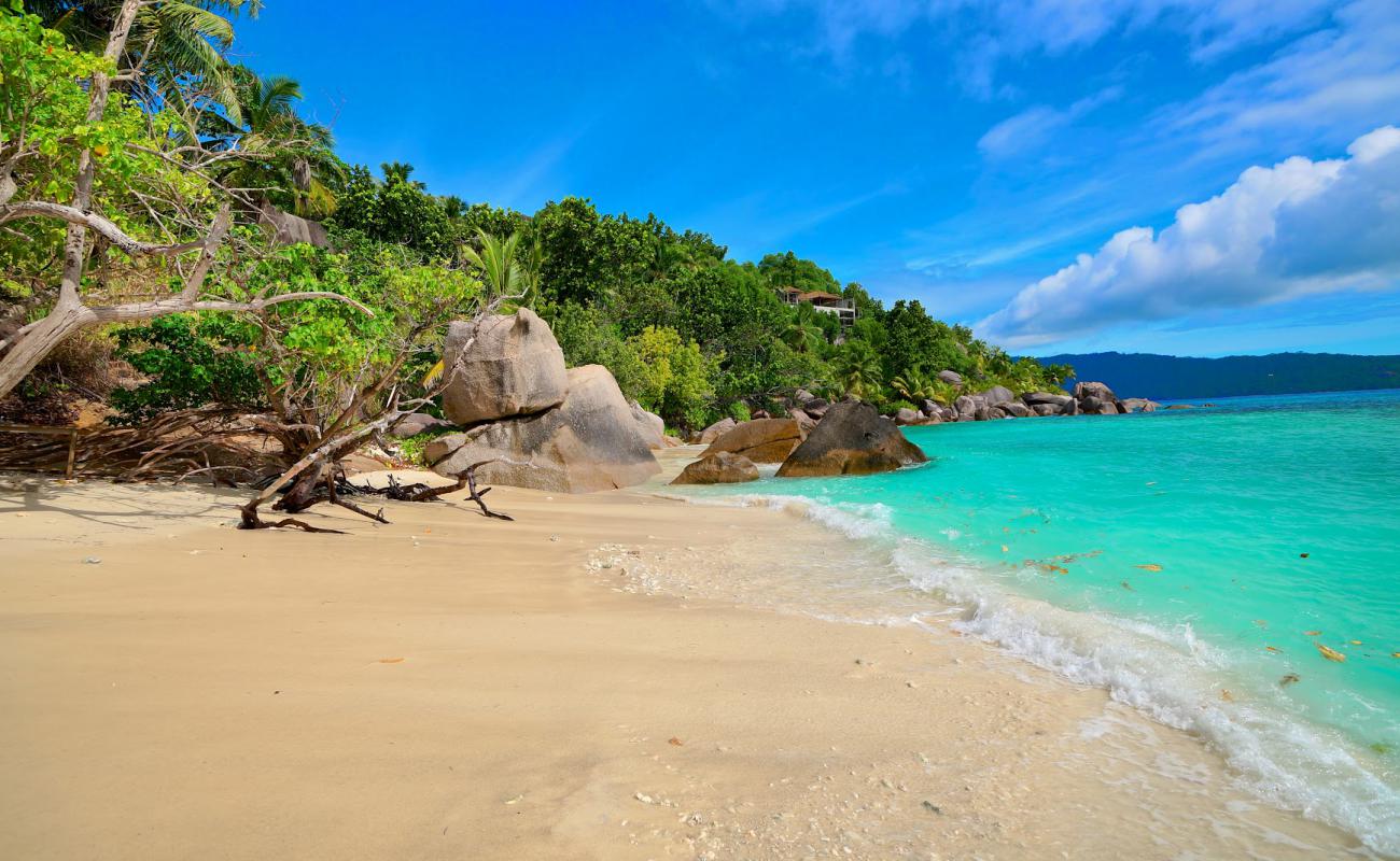 Foto af Felicite Island Beach II med lys sand overflade