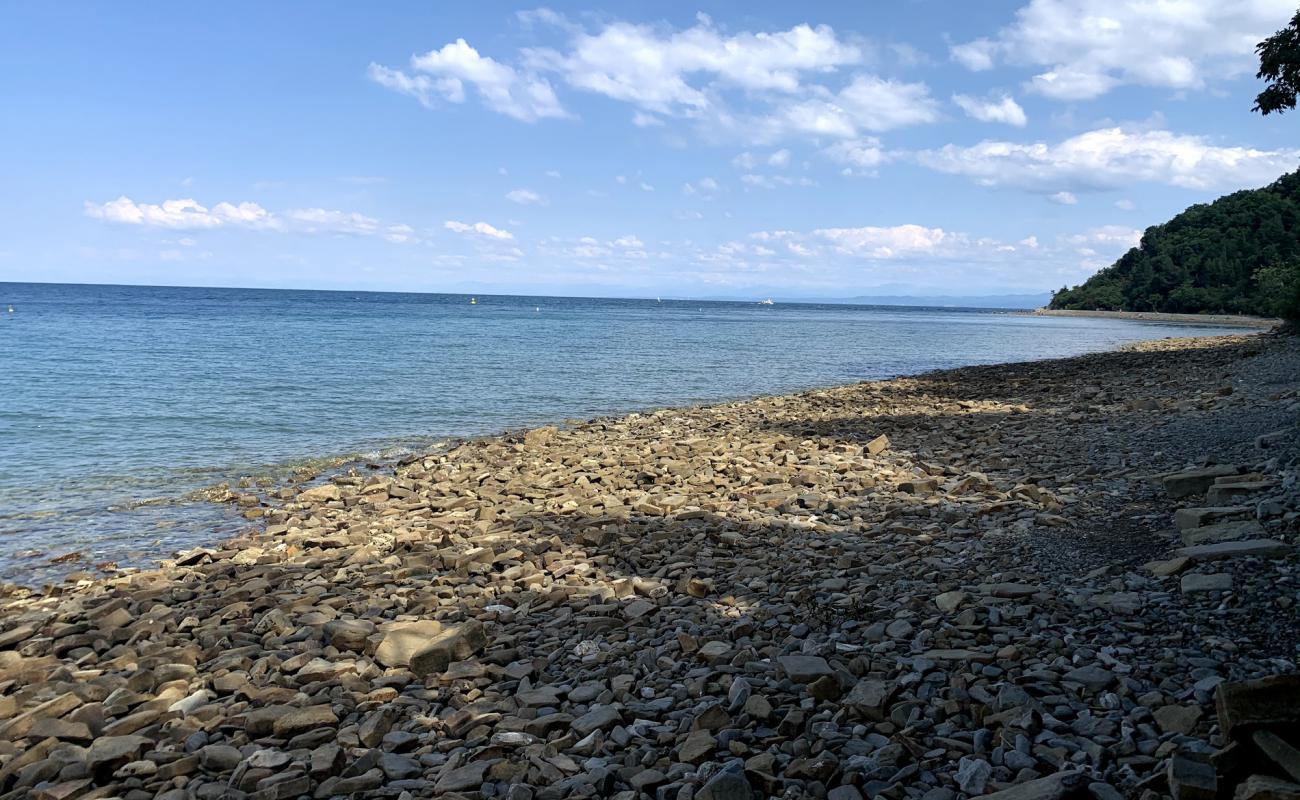 Foto af Strunjan beach med sten overflade