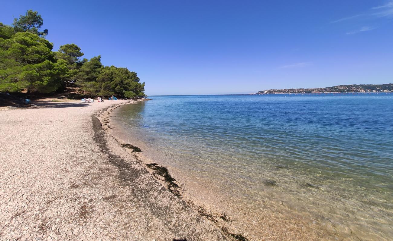 Foto af Kanegra strand med let sten overflade