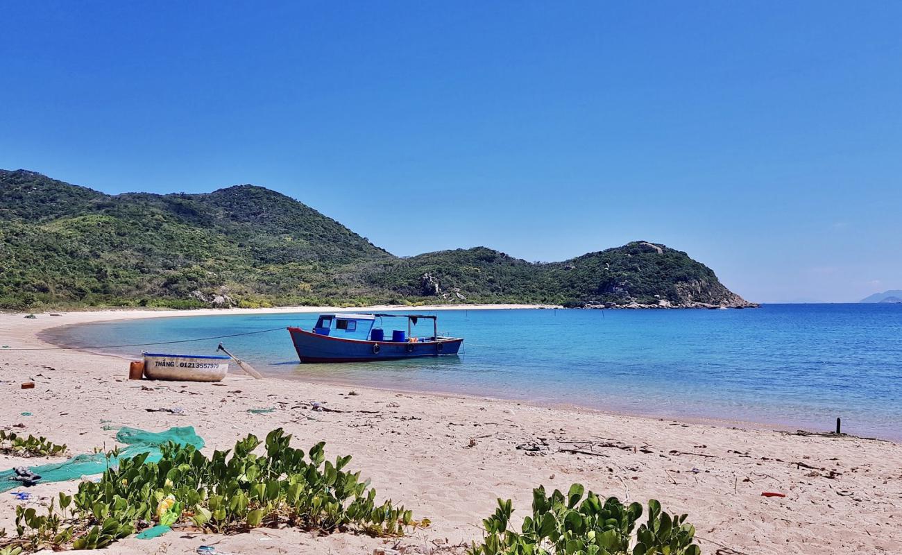 Foto af Bai Dam Beach med lys sand overflade