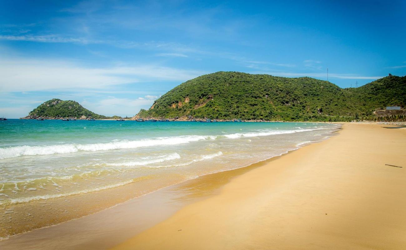 Foto af Dai Lanh Beach med lys sand overflade