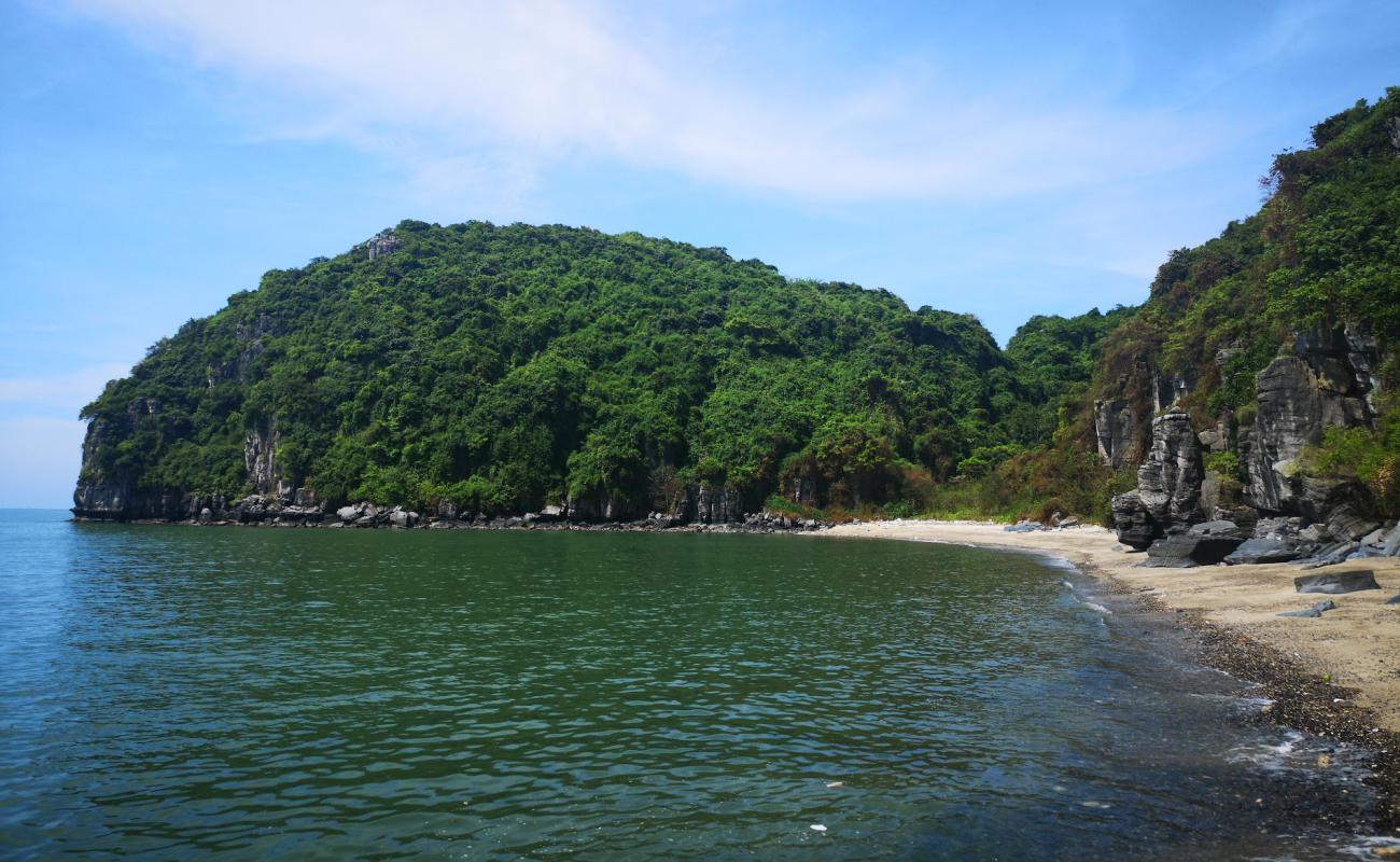 Foto af Blue Swimmer Beach med let sand og småsten overflade