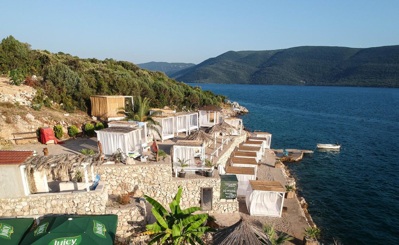 Foto af Feral Beach, Neum med grå sten overflade