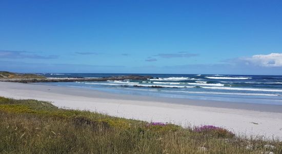 Silver stream beach