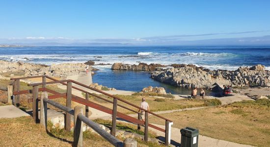 Vermont Tidal Pool