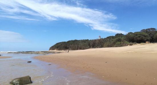 Tugela beach