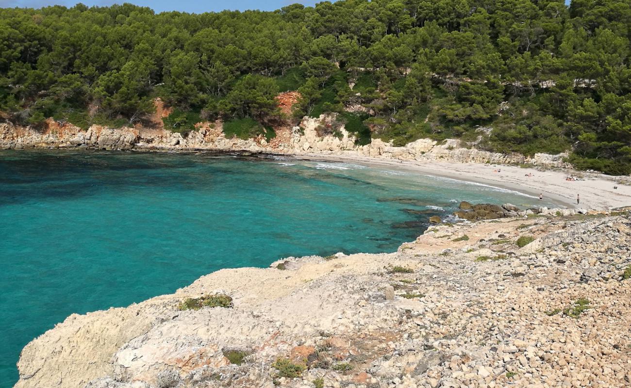 Foto af Playa Cala Escorxada med lys fint sand overflade