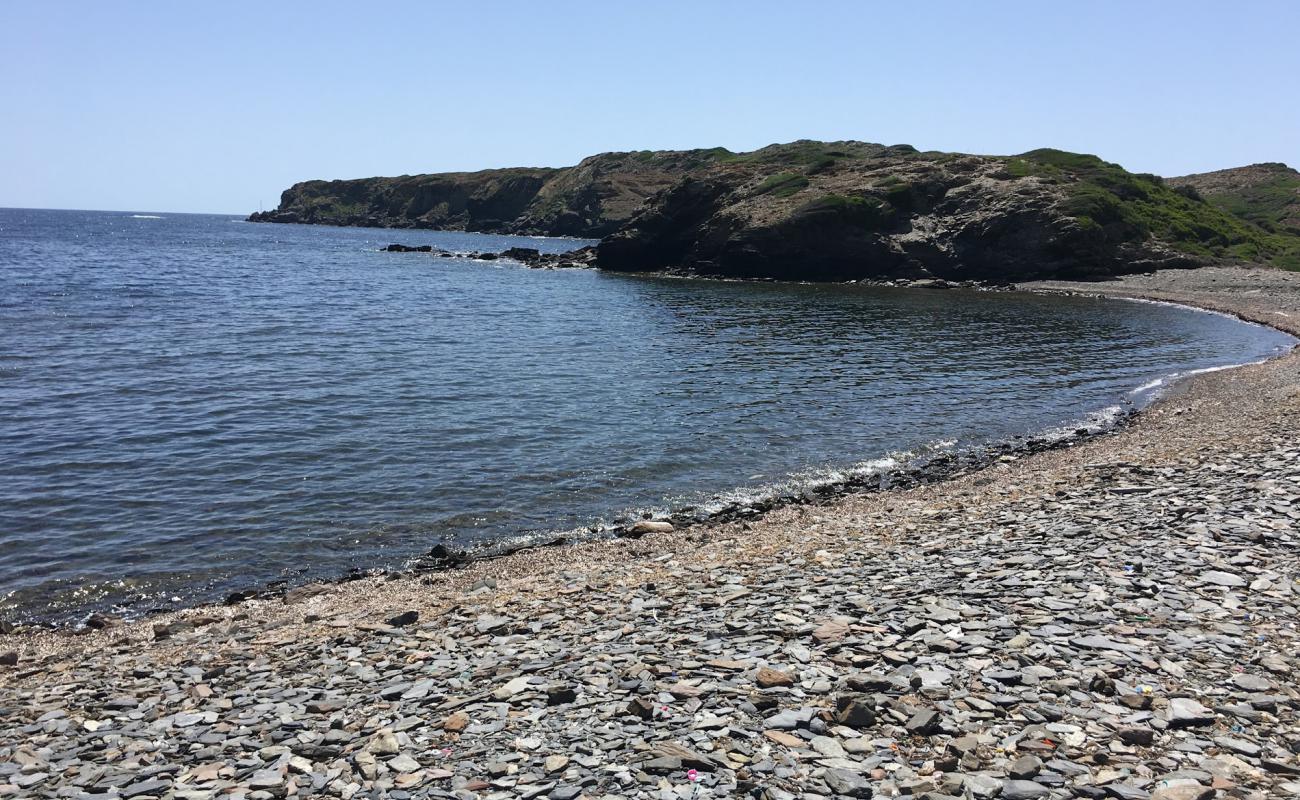 Foto af Cala Morella Nou med sten overflade