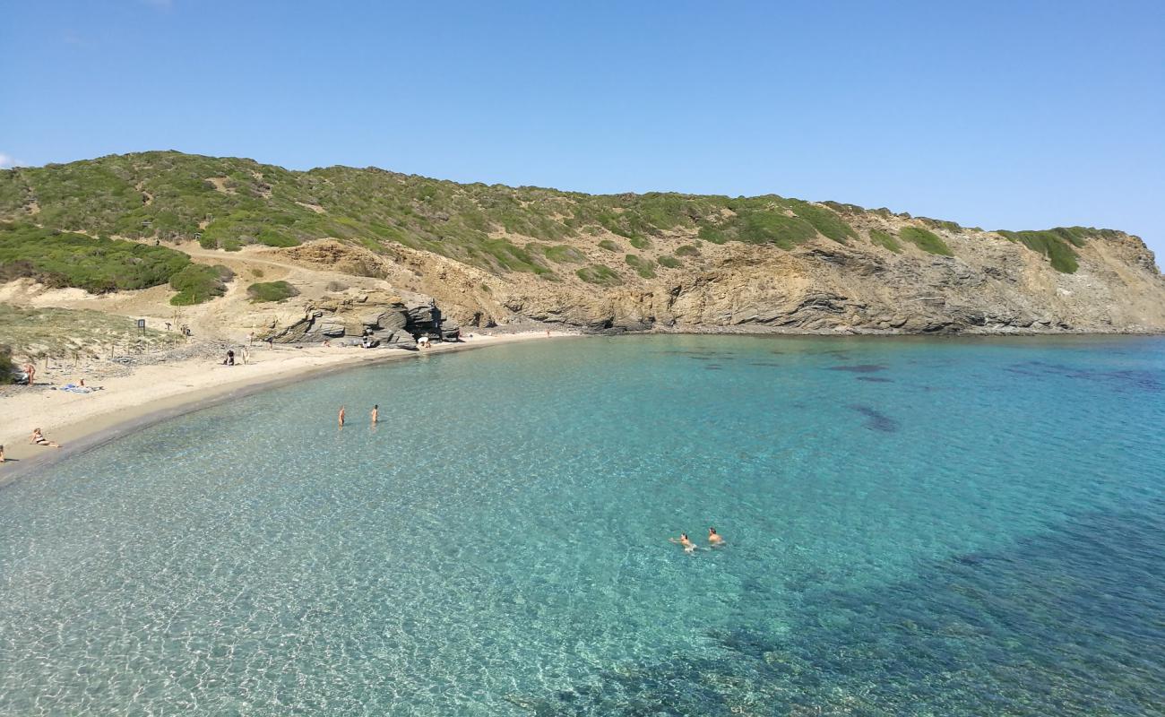 Foto af Cala Presili med lys sand overflade