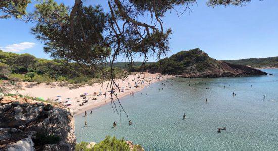 Stranden Cala Algaiarens II