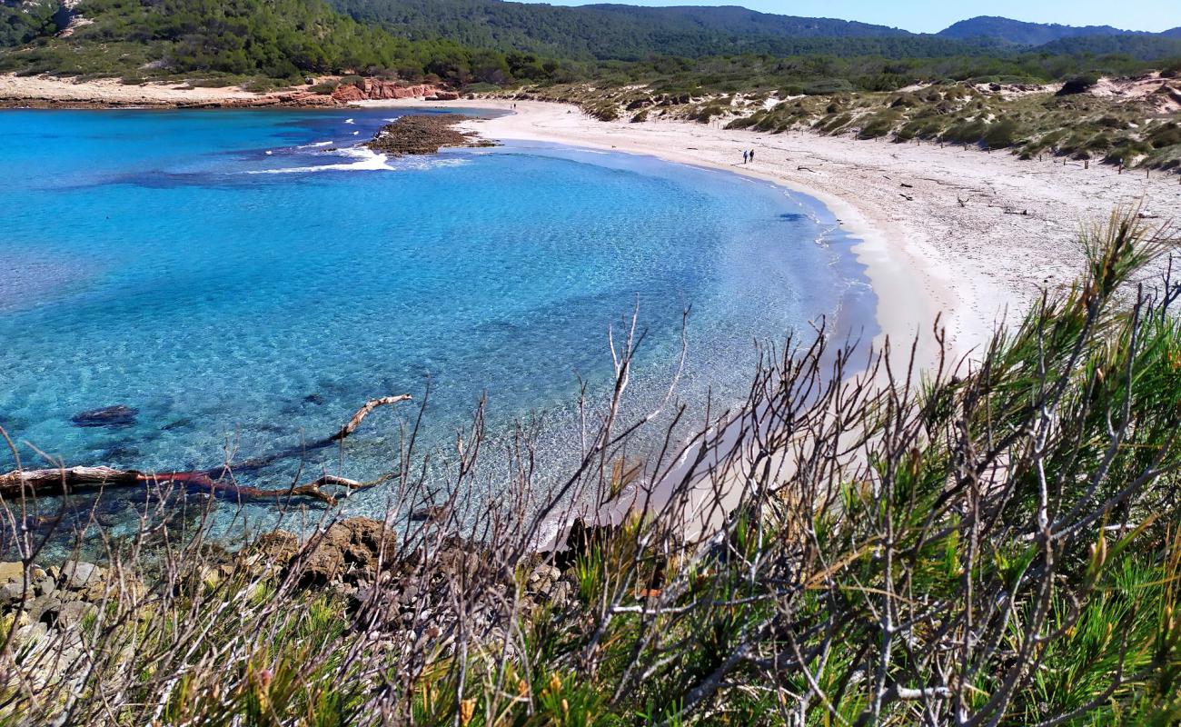 Foto af Stranden Cala Algaiarens med lys fint sand overflade