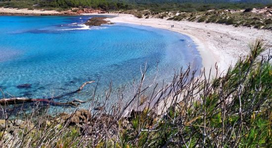 Stranden Cala Algaiarens