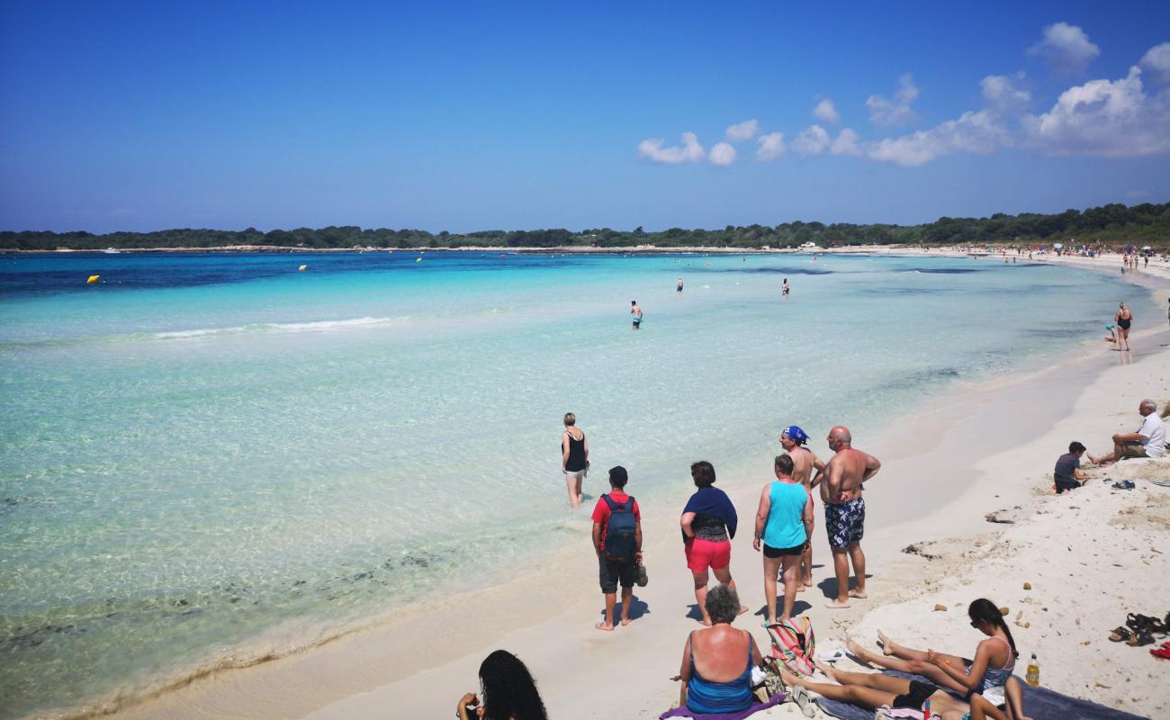 Foto af Bellavista Strand med lys fint sand overflade