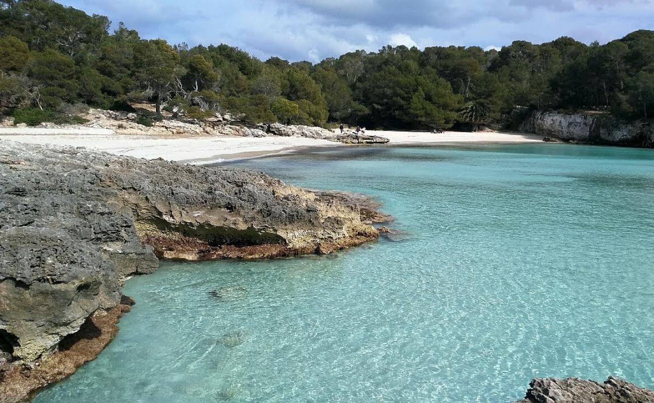 Foto af Stranden Cala en Turqueta med lys fint sand overflade