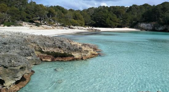 Stranden Cala en Turqueta