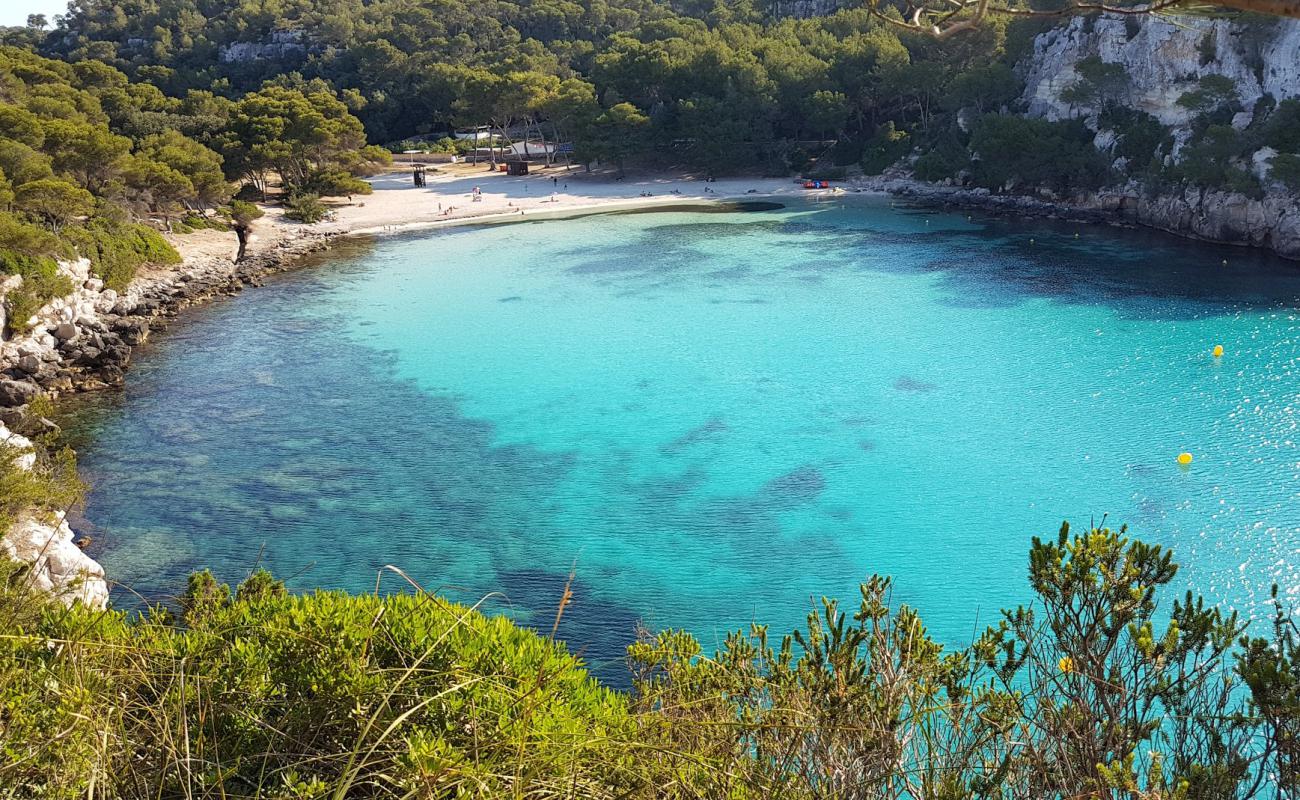 Foto af Stranden Cala Macarella med lys fint sand overflade