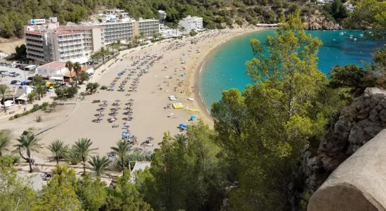 Stranden Cala de Sant Vicent