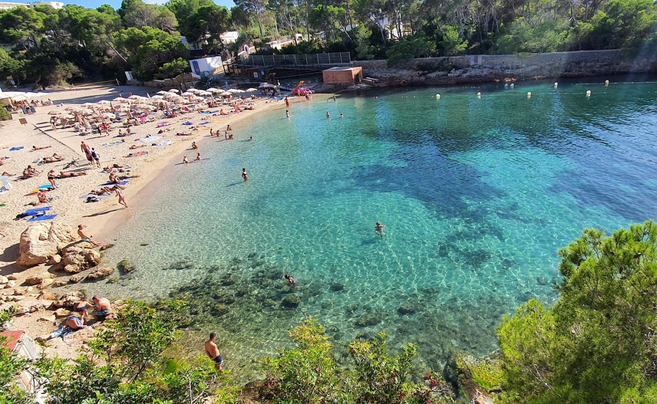 Foto af Cala Gracio med lys fint sand overflade