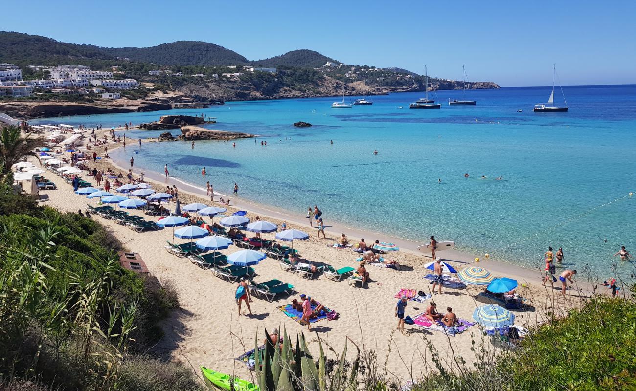 Foto af Cala Tarida med lys fint sand overflade